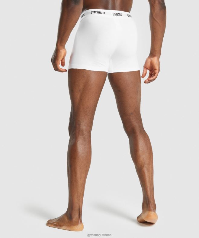 Gymshark boxeurs 2pk blanc Hommes 6HF281048