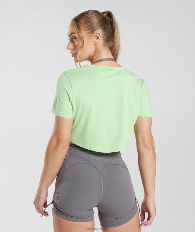 Gymshark haut court héritage vert menthe fraîche/lavis acide femmes 6HF28503