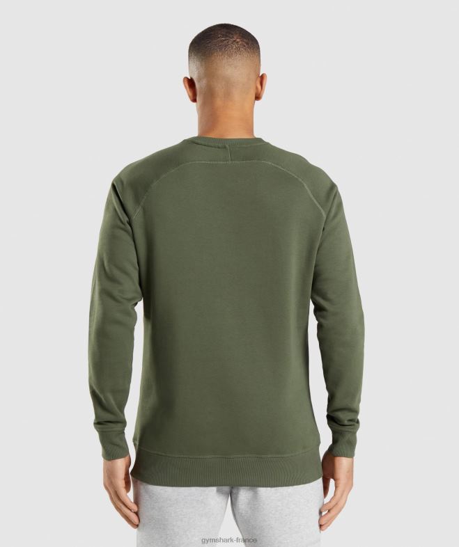 Gymshark sweat-shirt à écusson noyau d\olive Hommes 6HF28795