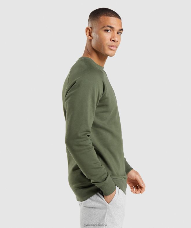 Gymshark sweat-shirt à écusson noyau d\olive Hommes 6HF28795