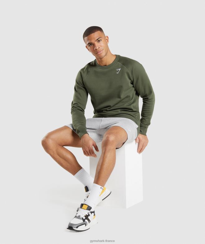Gymshark sweat-shirt à écusson noyau d\olive Hommes 6HF28795