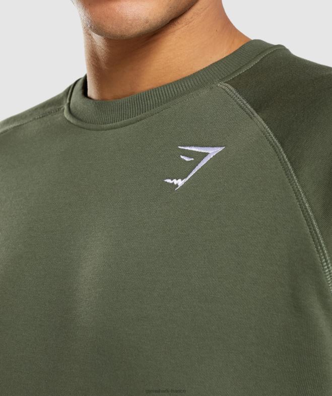 Gymshark sweat-shirt à écusson noyau d\olive Hommes 6HF28795