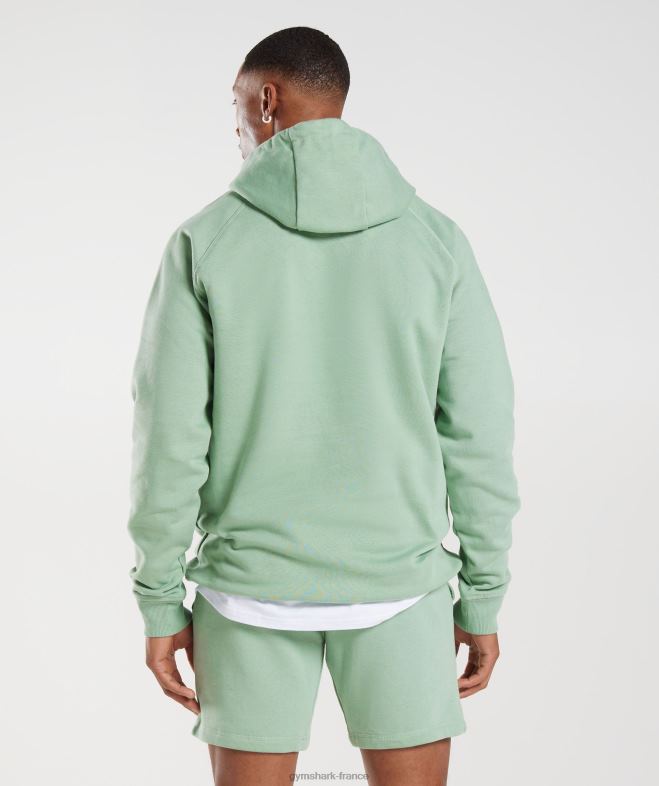 Gymshark sweat à capuche avec écusson vert sauge du désert Hommes 6HF28823