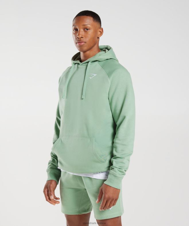 Gymshark sweat à capuche avec écusson vert sauge du désert Hommes 6HF28823