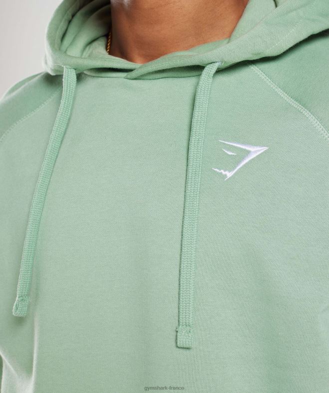 Gymshark sweat à capuche avec écusson vert sauge du désert Hommes 6HF28823