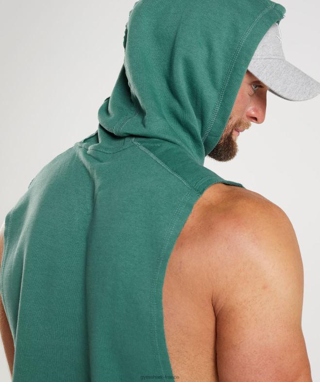 Gymshark sweat à capuche à bras tombants Legacy vert hoya Hommes 6HF28842