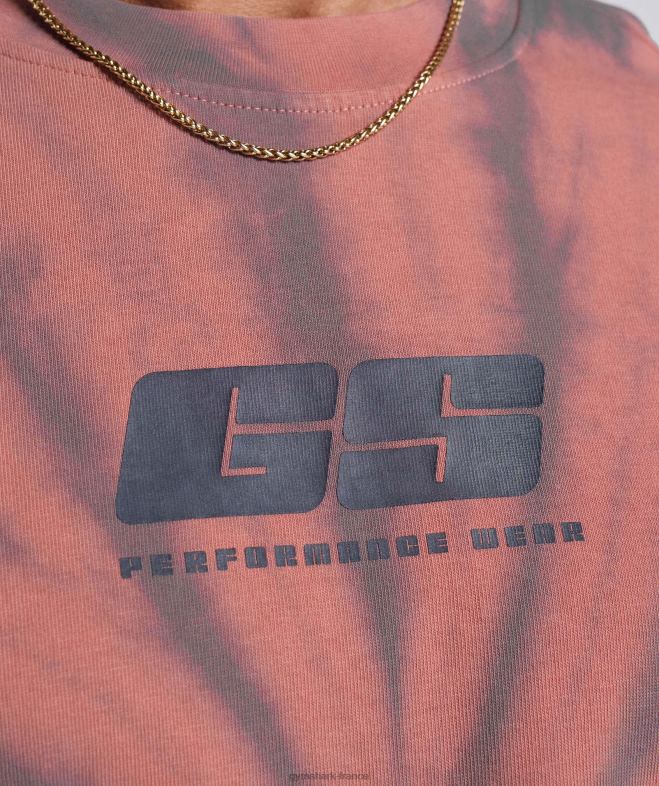Gymshark t-shirt jour de repos rose terre cuite/marron poussiéreux/lavage optique spirale Hommes 6HF28775