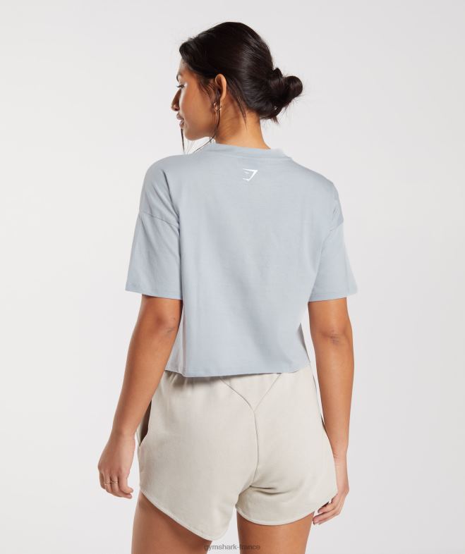 Gymshark t-shirt mi-long à motif brodé gris pierre de rivière femmes 6HF28486