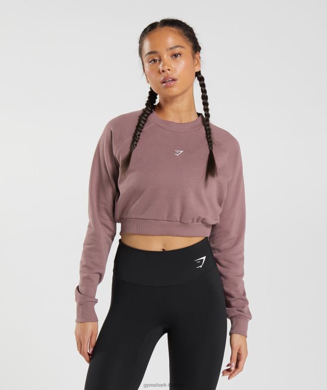 Gymshark pull court d'entrainement marron poussiéreux femmes 6HF28395
