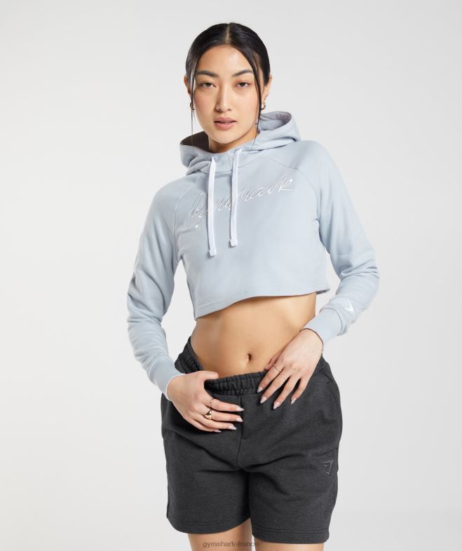 Gymshark sweat à capuche court à broderie graphique gris pierre de rivière femmes 6HF28382