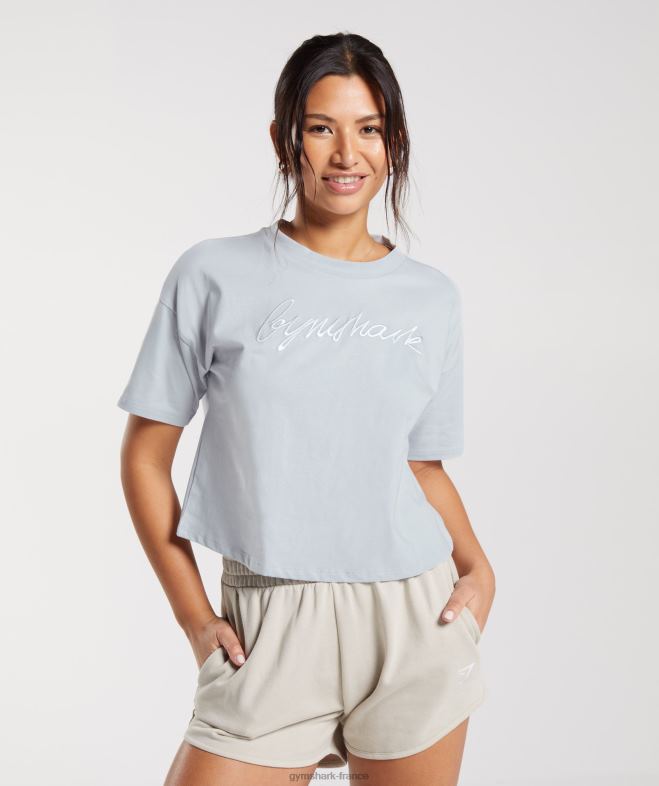 Gymshark t-shirt mi-long à motif brodé gris pierre de rivière femmes 6HF28486