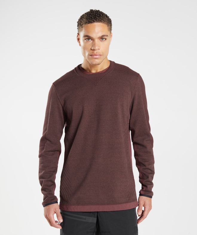 Gymshark reprendre l'équipage marne brun cerise Hommes 6HF28839