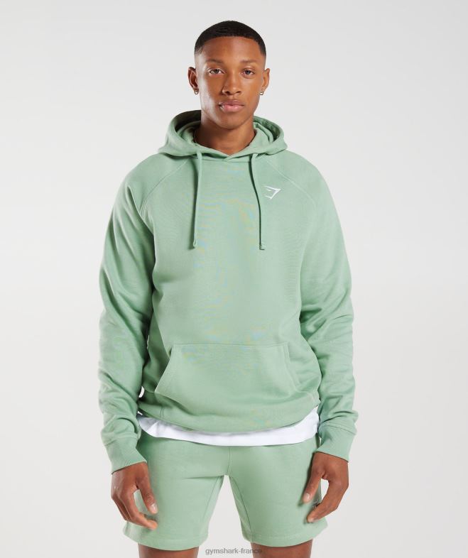 Gymshark sweat à capuche avec écusson vert sauge du désert Hommes 6HF28823