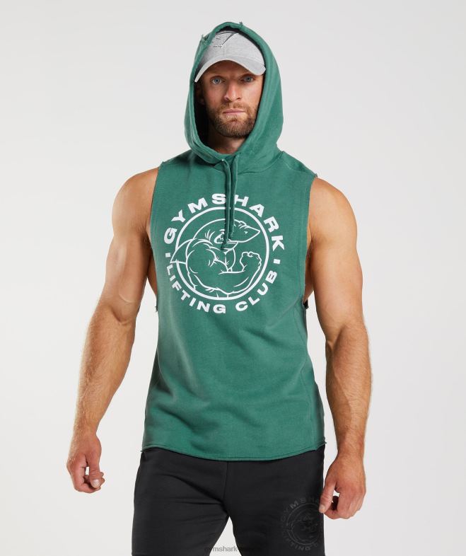 Gymshark sweat à capuche à bras tombants Legacy vert hoya Hommes 6HF28842